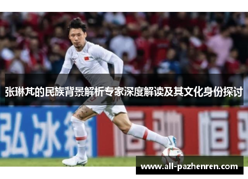 张琳芃的民族背景解析专家深度解读及其文化身份探讨