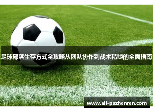 足球部落生存方式全攻略从团队协作到战术精髓的全面指南 足球部落生存方式全攻略从团队协作到战术精髓的全面指南