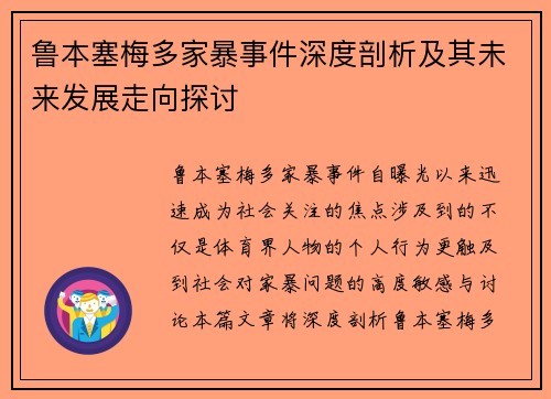 鲁本塞梅多家暴事件深度剖析及其未来发展走向探讨