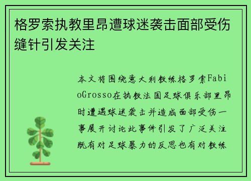 格罗索执教里昂遭球迷袭击面部受伤缝针引发关注